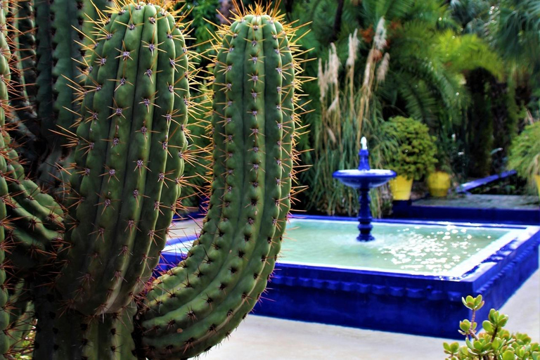 Marrakech: Majorelle Tuin, YSL en Berber Museum Entree