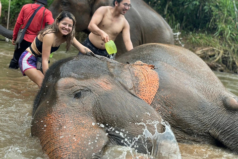 Chiang Mai: Sanktuarium słoni, wodospad i raftingOdbiór z hotelu