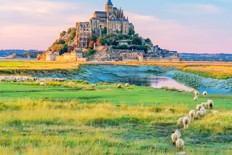 4-Day France shared Mini Tour from Paris