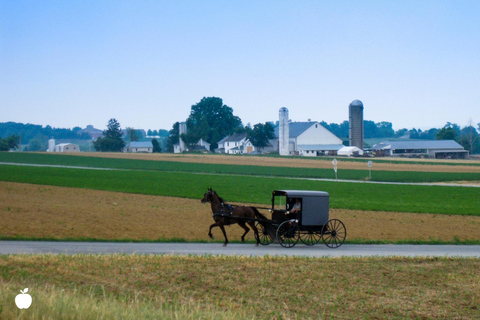Philadelphia and Lancaster: Day Excursion from New York