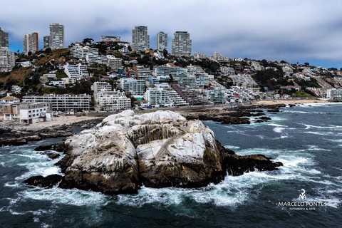 From Santiago: Full-Day Tour of Viña del Mar and Valparaiso