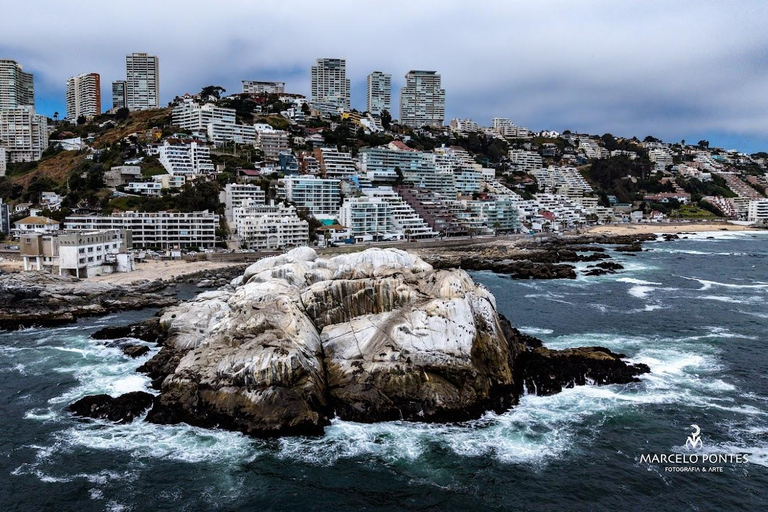 From Santiago: Full-Day Tour of Viña del Mar and Valparaiso