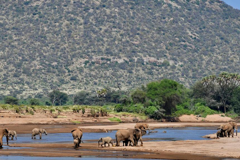 5 Days Highlights of Kenya Exclusive Safari