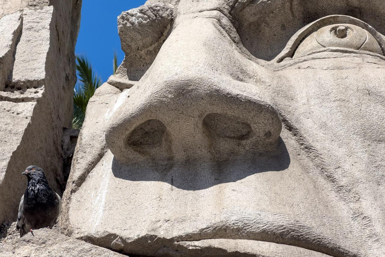 Visite à pied comme un habitant de la ville de SantiagoVisite à pied de la ville de Santiago