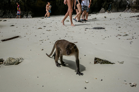 Phi Phi: tour en barco por las 7 islas con puesta de sol y plancton