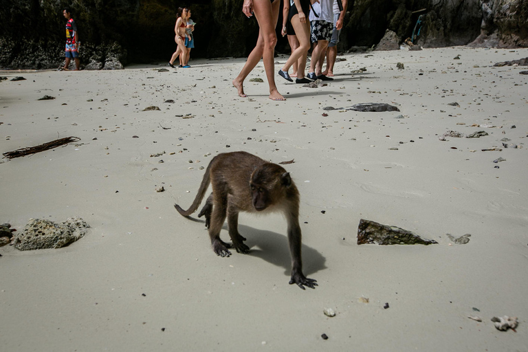 Phi Phi: Um dia de lancha rápida para Maya Bay com snorkelingPhi Phi: Lancha rápida de um dia para Maya Bay com mergulho com snorkel