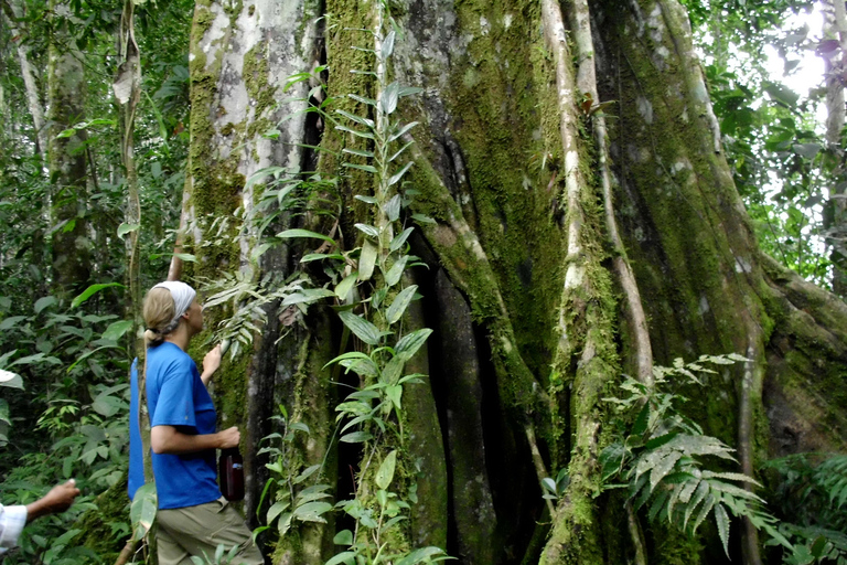 Excursión de 4 días por la selva Expedición Amazonia Todo Incluido