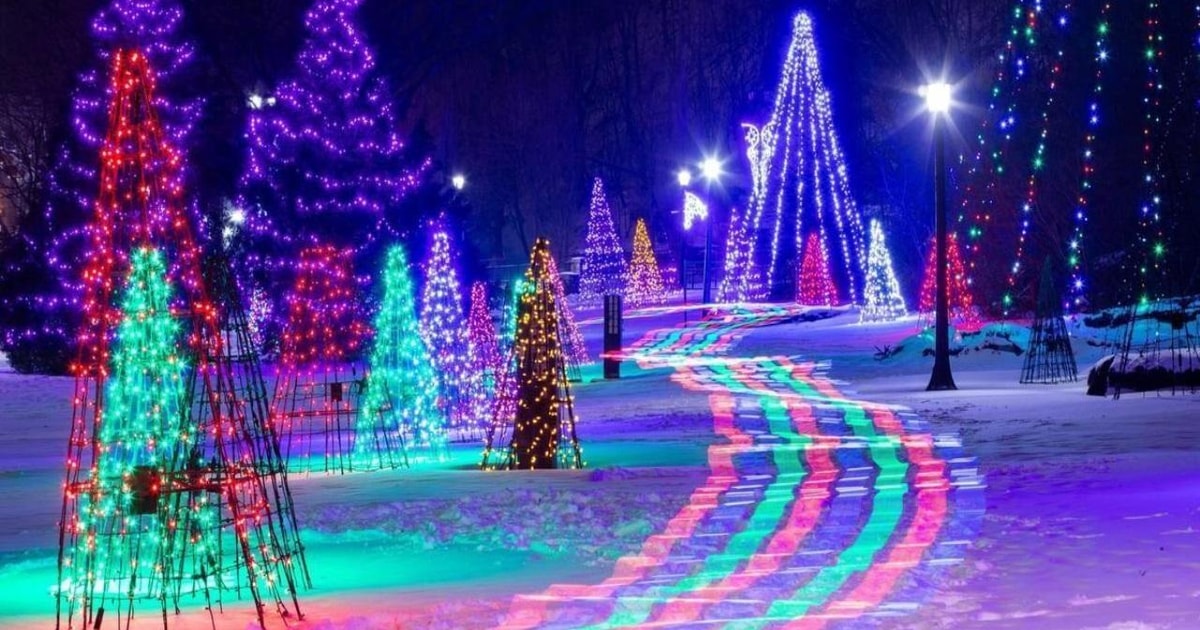 From Toronto: Winter Festival of Lights Niagara Falls Tour | GetYourGuide