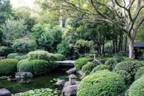 Brisbane: City Tour with Koala Sanctuary