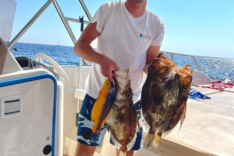 Split: Boat Tour to Blue Cave, Vis, Blue Lagoon, Hvar, Brač