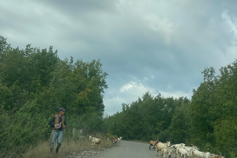 From Tirana/Durres: THINK GLOBAL, ACT AS A LOCAL