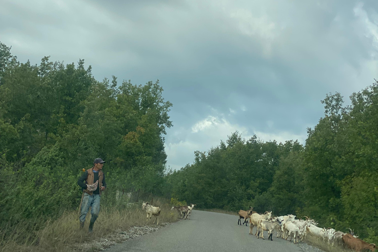 From Tirana/Durres: THINK GLOBAL, ACT AS A LOCAL