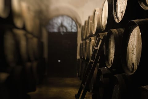 Bodega Halcón Winery Tour with Wine Tasting South of Seville