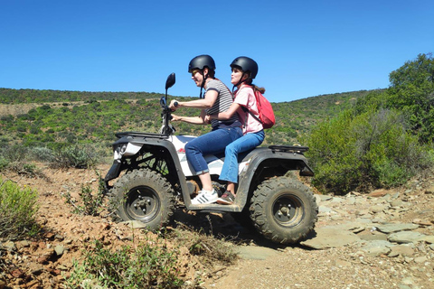 Quad et chèvres sur l&#039;arganier et thé avec Nomade