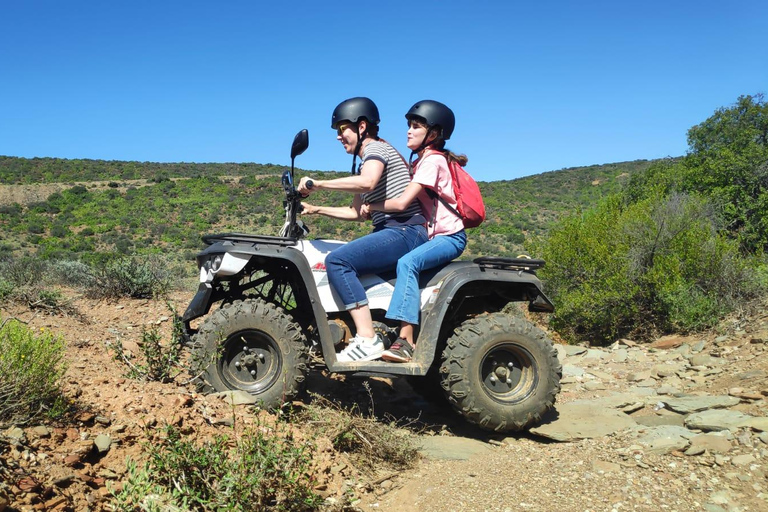 Quad en quad y cabras en el argán y té con Nomade