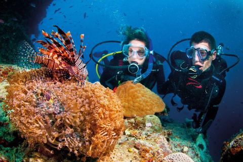 Da Nang/Hoi An: Cham Islands Snorkeling or Scuba Diving Diving in Cham Islands with an instructor