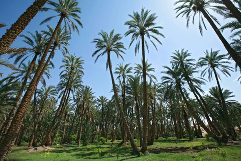 A partir de Djerba/Zarzis: Tesouros do Sul da Tunísia 3 diasDe Djerba/Zarzis: Tesouros do Sul da Tunísia, 3 dias