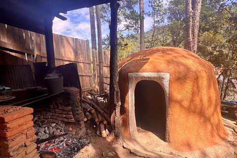 From Oaxaca: Temazcal Ceremony with Guide