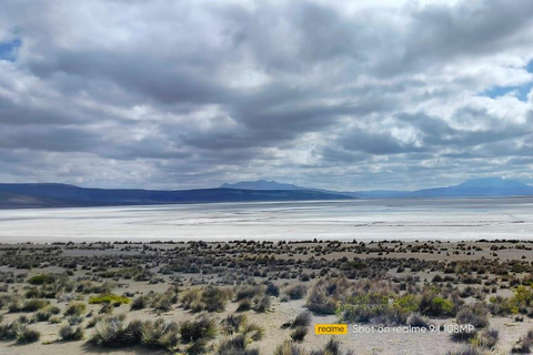 Arequipa: Salinas Lagoon Tour