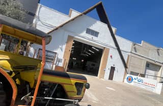 Valencia: 80 Millionen Jahre alte Horchata und Erdmandeln