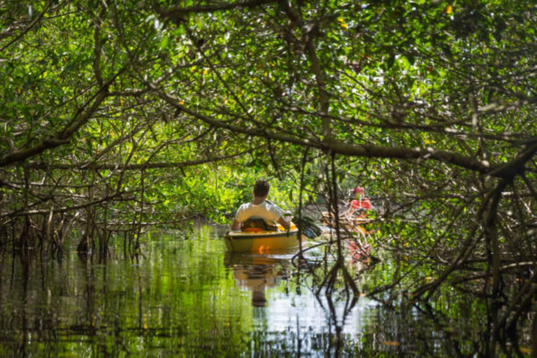 Zanzibar: Baobabträdstur med matlagningskurs och provsmakning