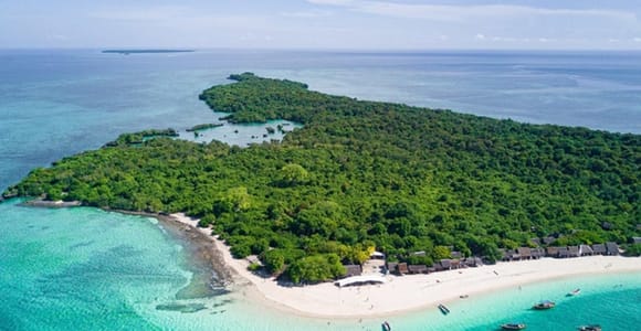 Zanzibar: Full-Day Conservation Safari with BBQ Lunch