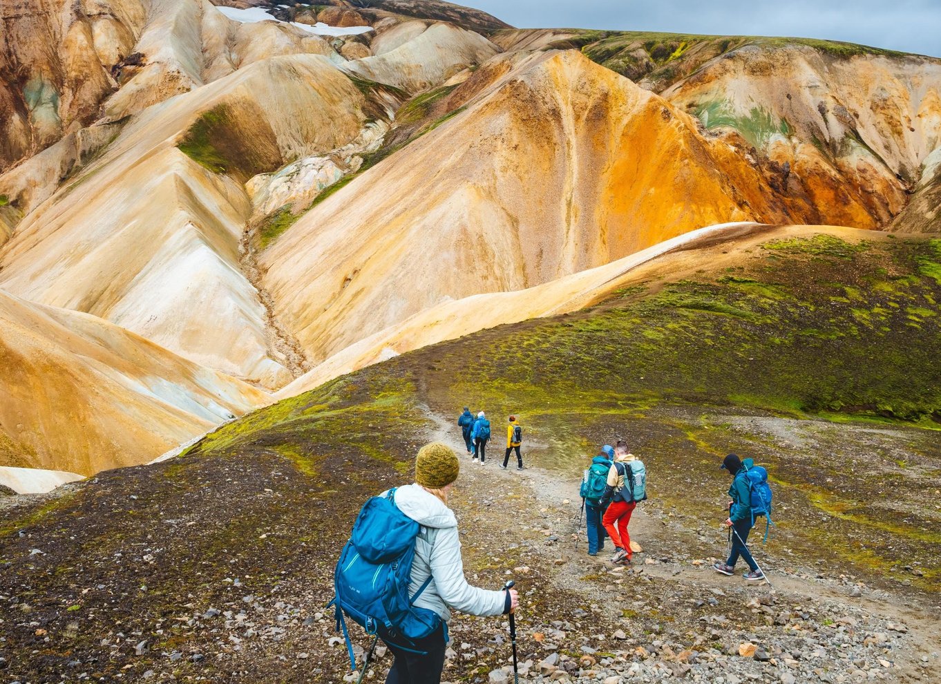 Reykjavik: Vandretur i højlandet ved Landmannalaugar og varme kilder