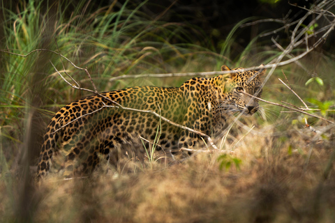 Sri Lanka: 8-Day Big Five Safari & Blue Whale Watching Tour