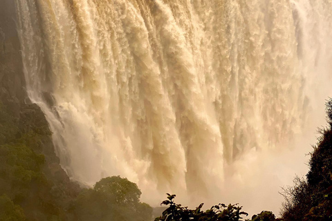 Tour guiado de las Cataratas