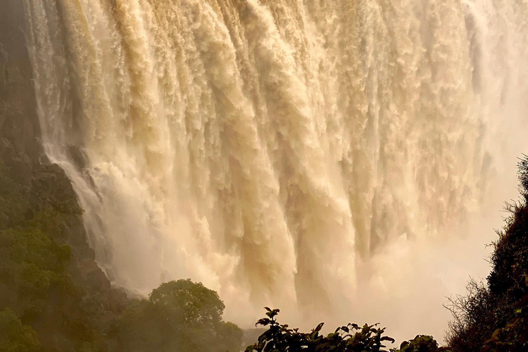 Guided Tour of the Falls