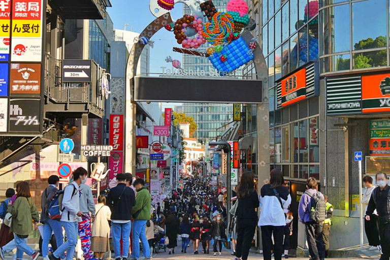 Tokio: Skytree, Asakusa und Meiji-Schrein, Shibuya-Kreuzung,