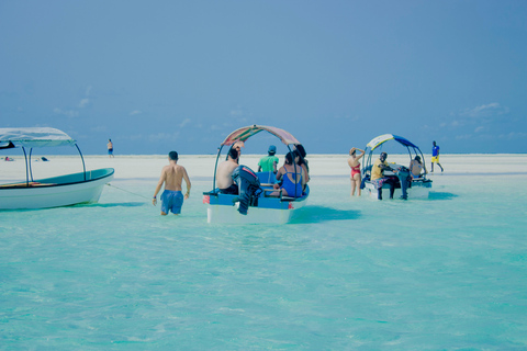 Zanzibar: tour privato dell'isola di MnembaTour privato. Non c'è il servizio di prelievo in hotel e non c'è il pranzo.