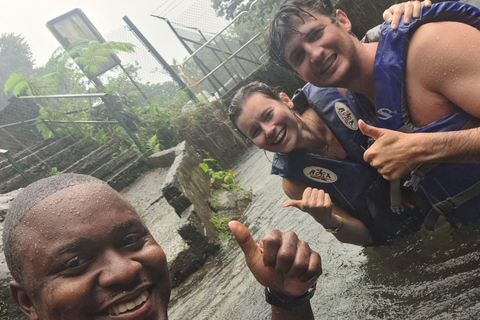 Roseau: Rainforest tour of Trafalgar Waterfalls & Geysers.