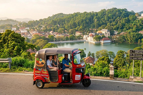 Kandy: Sacred Forest Sanctuary Hike, Secret Vista by Tuk-Tuk