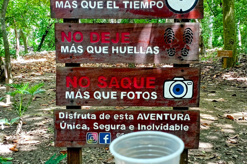 Amber Cove - Taino Bay 5 tirolesas 7 cachoeiras + almoço para vocêAmber Cove - Taino Bay 5 tirolesas 7 cascatas + almoço para