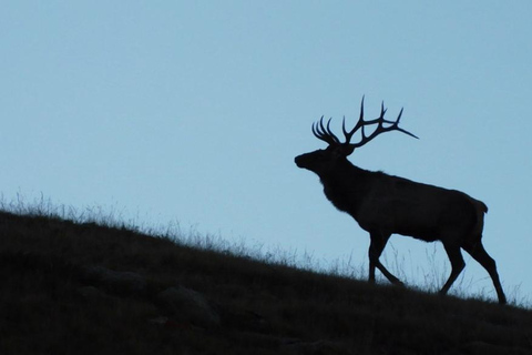 Mongolia: Hustai National Park