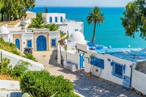 Tunis: Medina, Carthage, and Sidi Bou Said Guided Day Tour