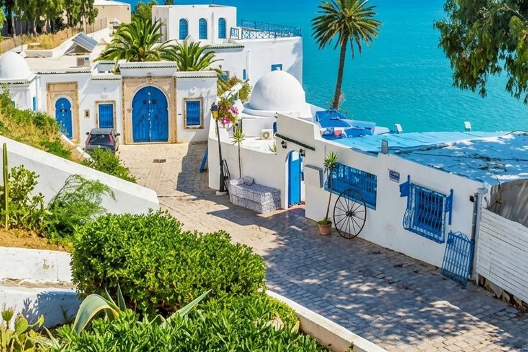 Tunis: Medina, Carthage, and Sidi Bou Said Guided Day Tour