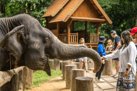 Khao Lak: Elephant Camp, Bamboo Rafting, and Waterfall Tour