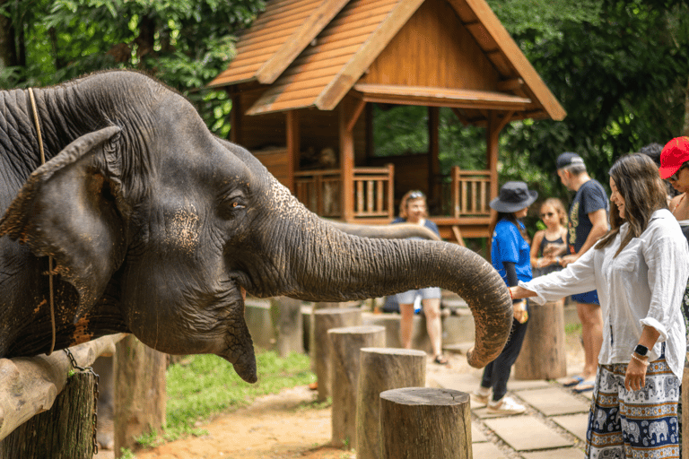 Khao Lak: Elephant Camp, Bamboo Rafting, and Waterfall Tour