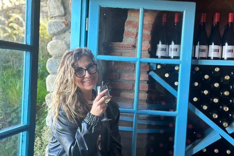 Tbilissi : Visite privée des vignobles de Kakheti avec déjeuner en famille