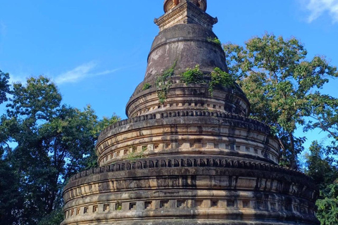 Chiang Mai: Wat Umong, Wat Pha Lat And Wat Doi Suthep Tour Small Group Tour with Meeting Point Pickup