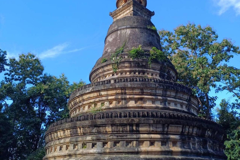 Chiang Mai: Wat Umong, Wat Pha Lat och Wat Doi Suthep TourPrivat tur med upphämtning på hotell