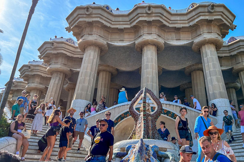 Barcelona: Park Güell Guided Tour with Skip the Line Ticket Spanish Tour