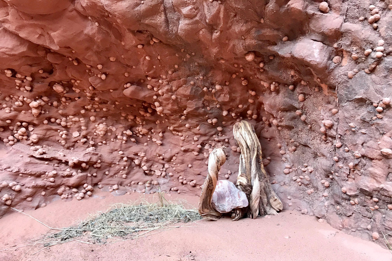 Page: Antelope Valley Wind Pebble Canyon Tour 2-Hour Tour