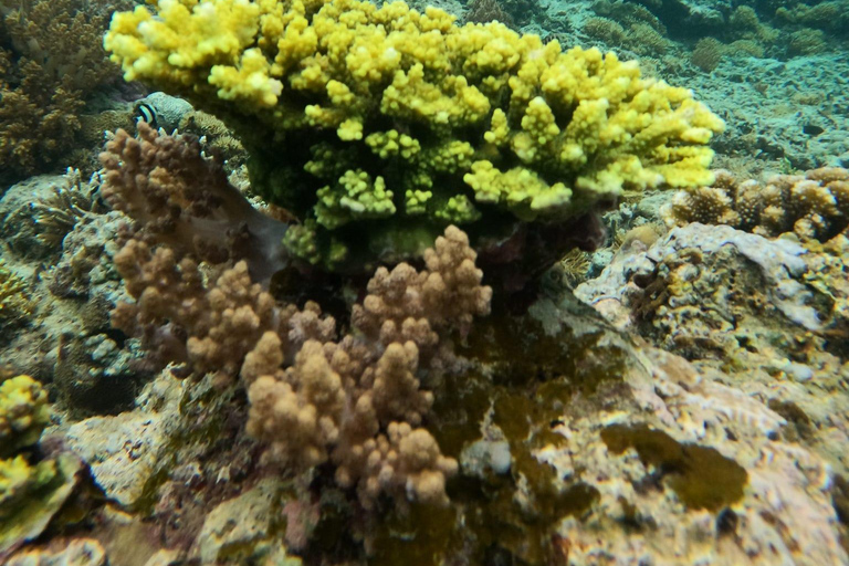 3 Gilis Snorkeling Tour Start Gili Air