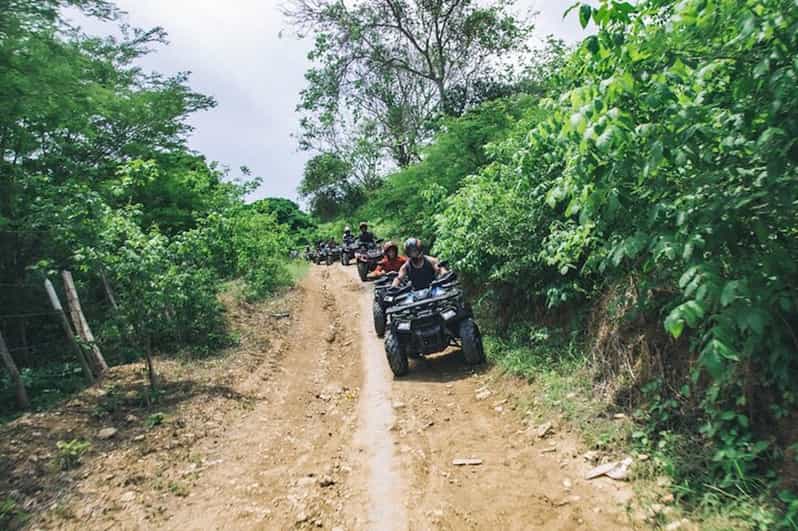Galería de fotos para redes