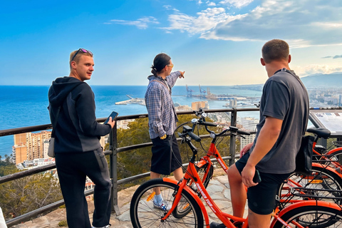Malaga: Guided Bike Tour with E-Bike Option & Highlights Private Tour by Regular Bike (Up to 10 People)
