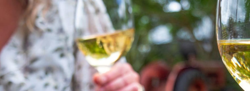 Nelson : visite culinaire Taste Tasman avec déjeuner et dégustations