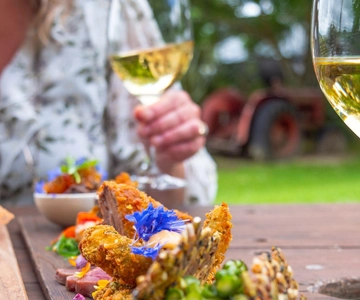Nelson: tour gastronomico e enologico Taste Tasman con pranzo e degustazioni